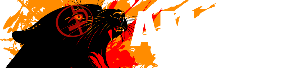 Académie Maîtrise Combat 91